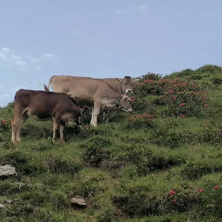 Himmenhof Alojamento de Turismo Rural