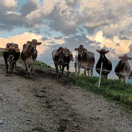 Gospodarstwo agroturystyczne Himmenhof