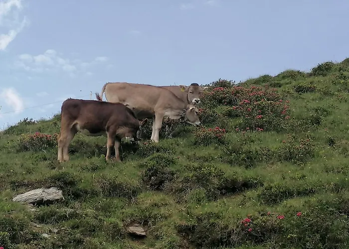 Himmenhof Agroturismo