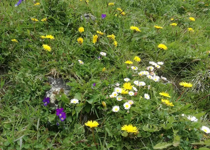 Agroturismo Himmenhof