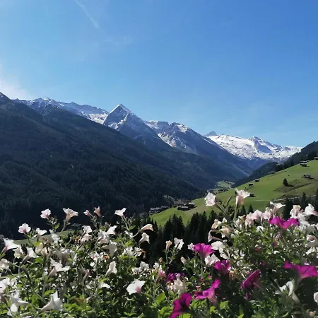 Himmenhof * تكس