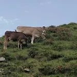 Himmenhof בית חווה