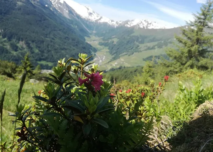 Himmenhof Séjour à la ferme