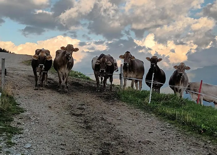 Séjour à la ferme Himmenhof